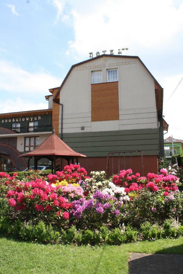 Hotel Pinocy Ledziny エクステリア 写真